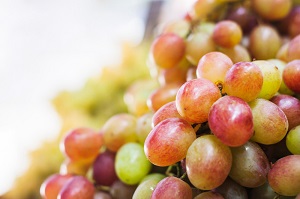 Amazon Grape
