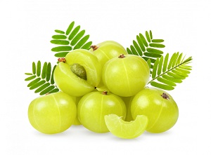 Amla (Indian Gooseberry)