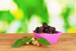 Andean Blackberry