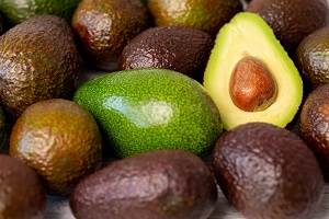Florida Avocado