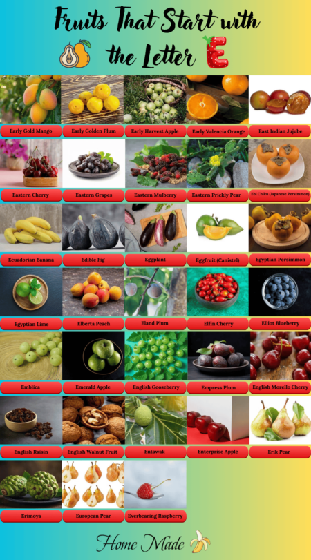 Fruit that Starts with E