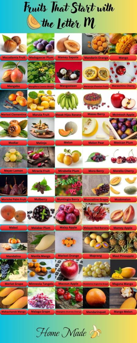 Fruits That Start With The Letter M