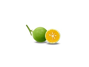 Limetta (Sweet Lemon)