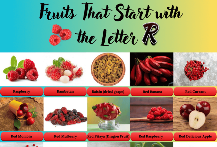Fruits start with the letter R