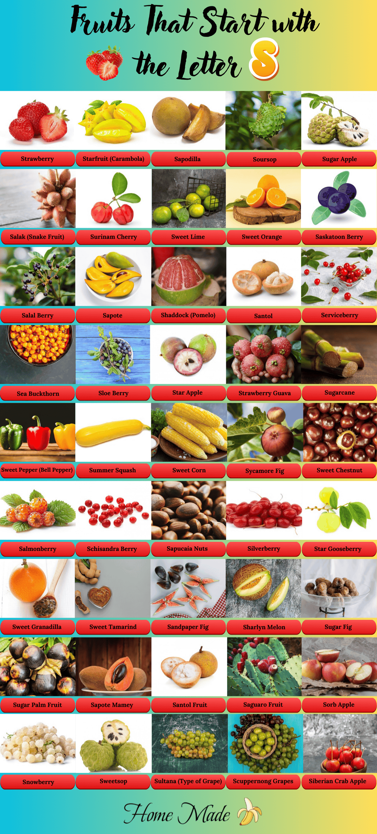 Fruits that start with the letter S
