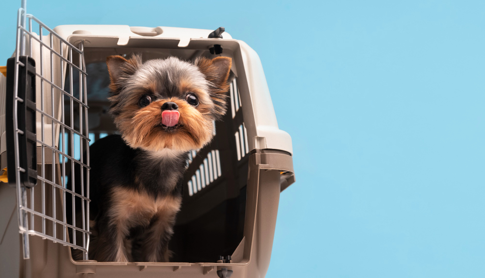 Dog Crate
