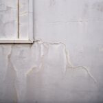Home Maintenance