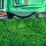 Artificial Turf