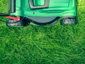Artificial Turf