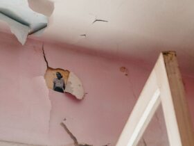 Ceiling Damage