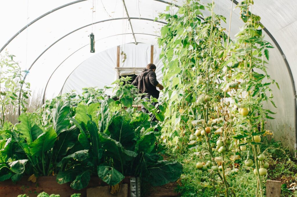 Home Garden