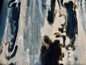Mold on Home