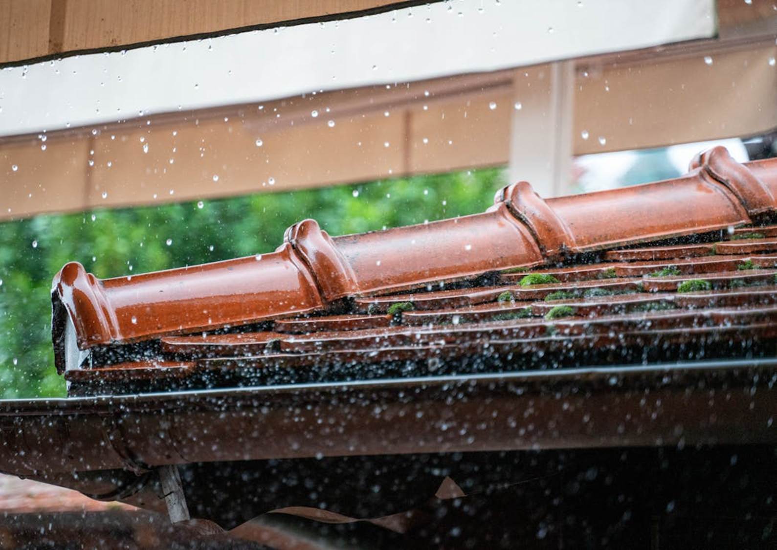 Roof Durability
