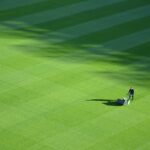 Lawn Care
