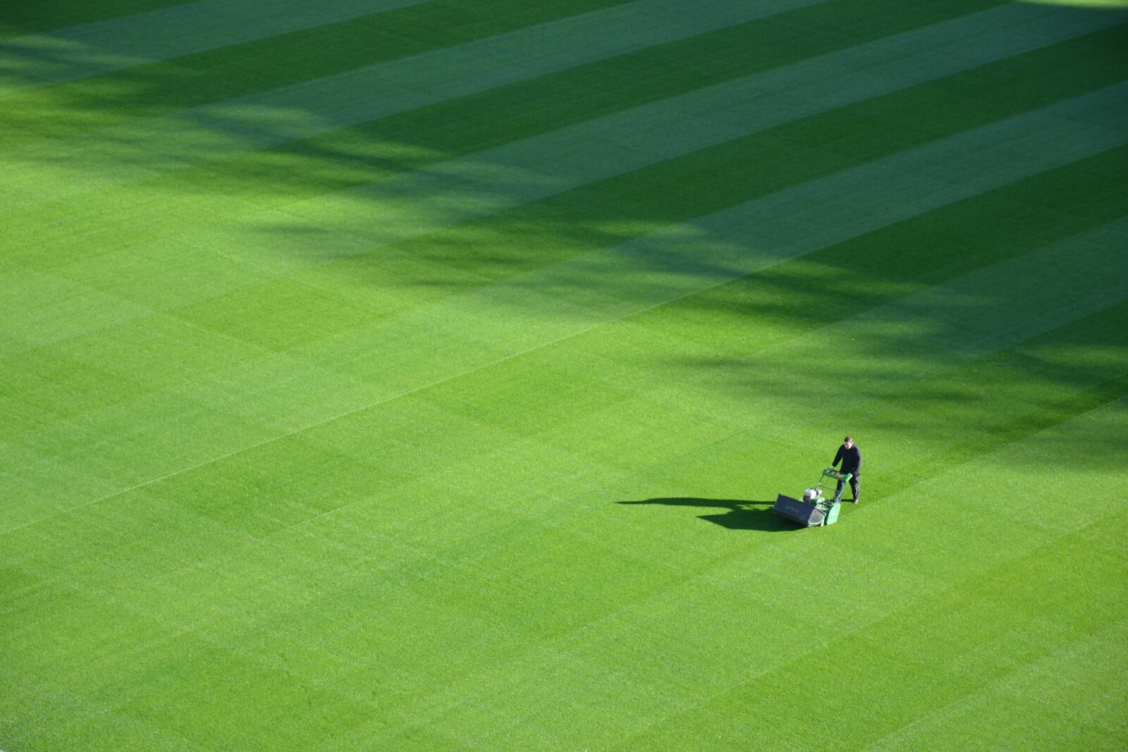 Lawn Care