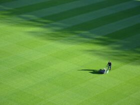 Lawn Care