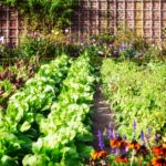 Garden Design