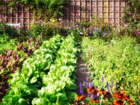 Garden Design