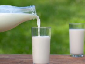 Milk
