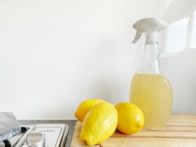 Professional Cleaning