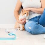 Cat Feeders