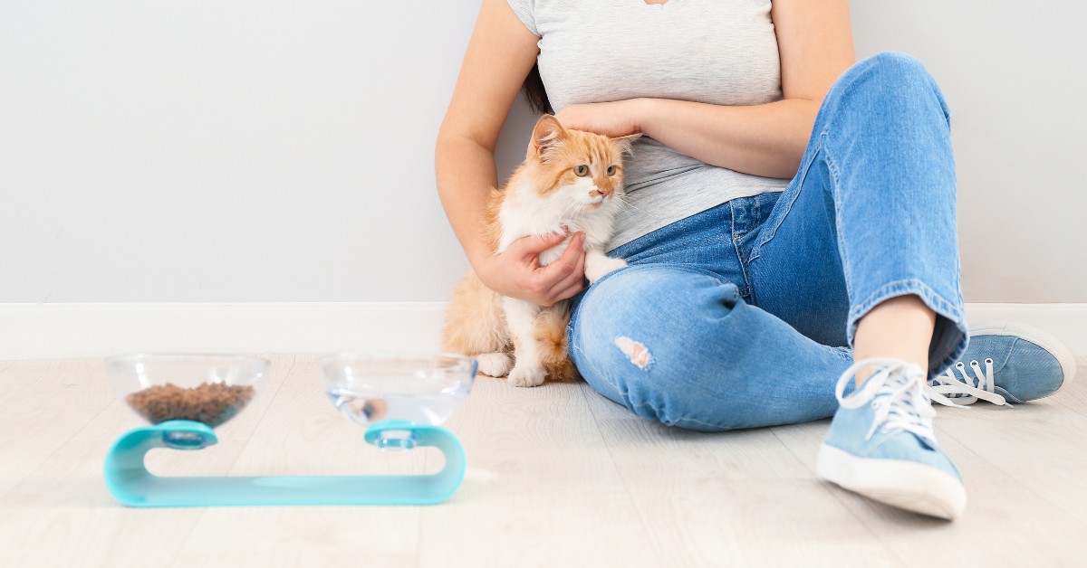 Cat Feeders