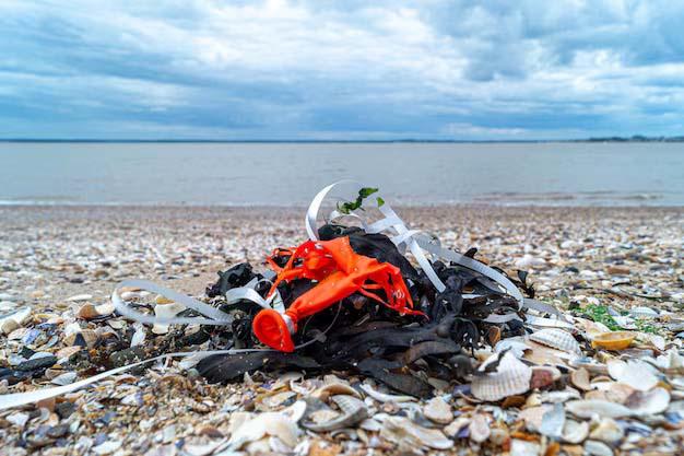 Rubbish Removal